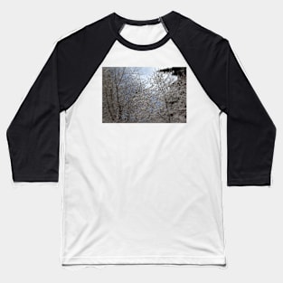 snowy  oregon forest 2 Baseball T-Shirt